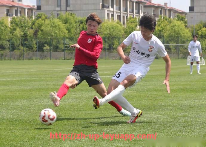 乐鱼体育入口-世俱杯历史助攻王数据统计及助攻技巧分析